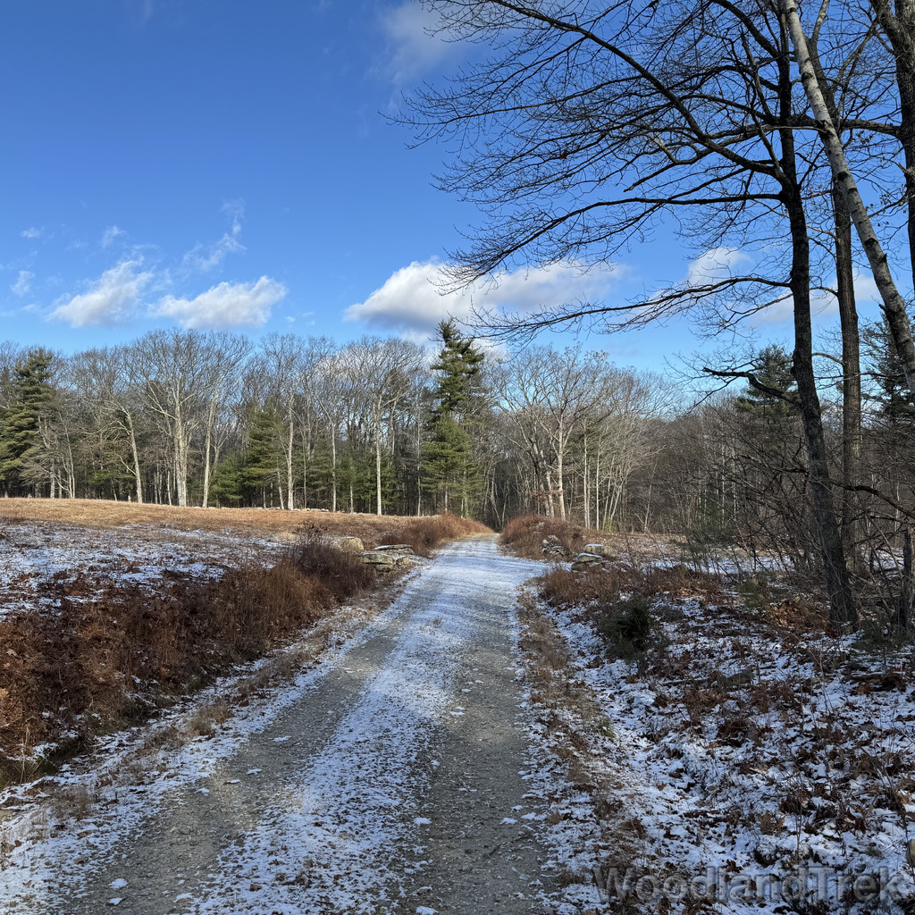 2025-11-29_123403_00