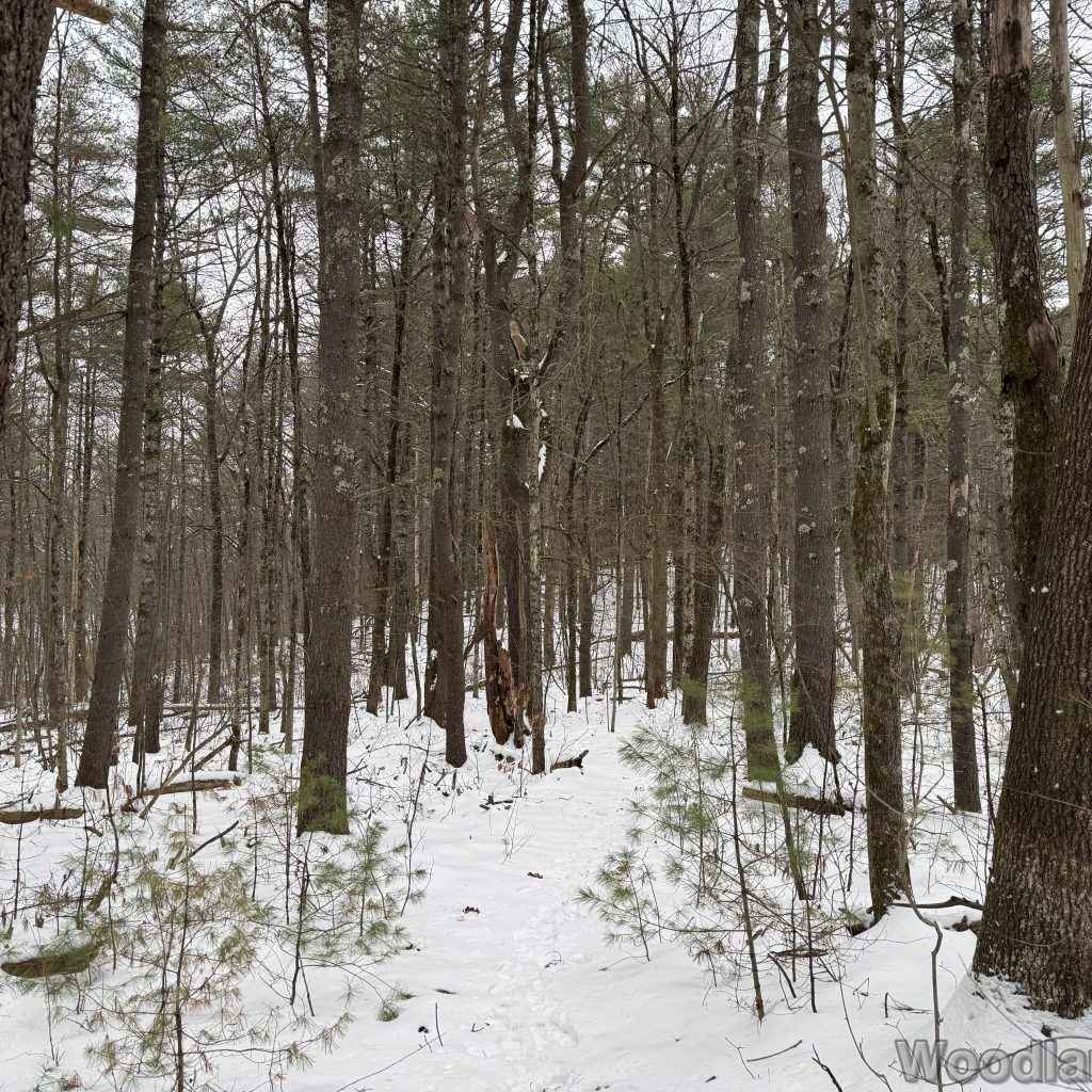 2025-12-07_094744_00