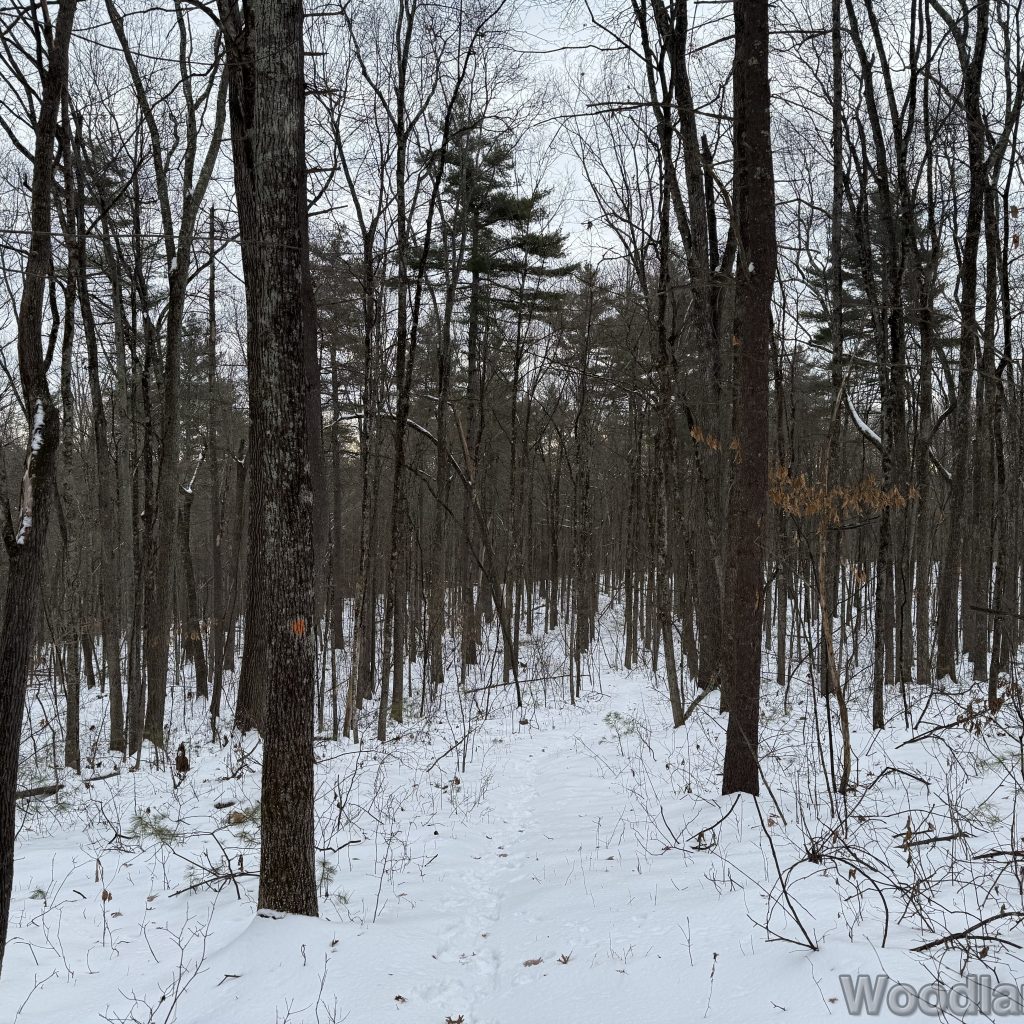 2025-12-07_095451_00