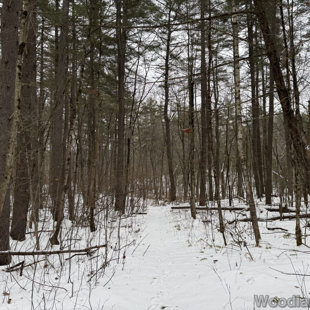 2025-12-07_100312_00