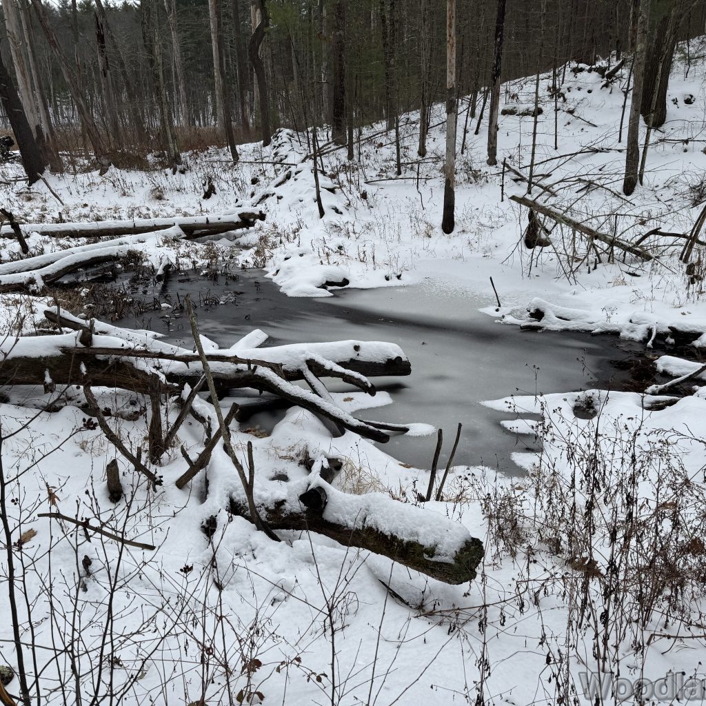 2025-12-07_100622_00