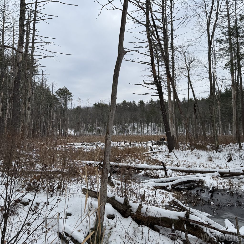 2025-12-07_100627_00