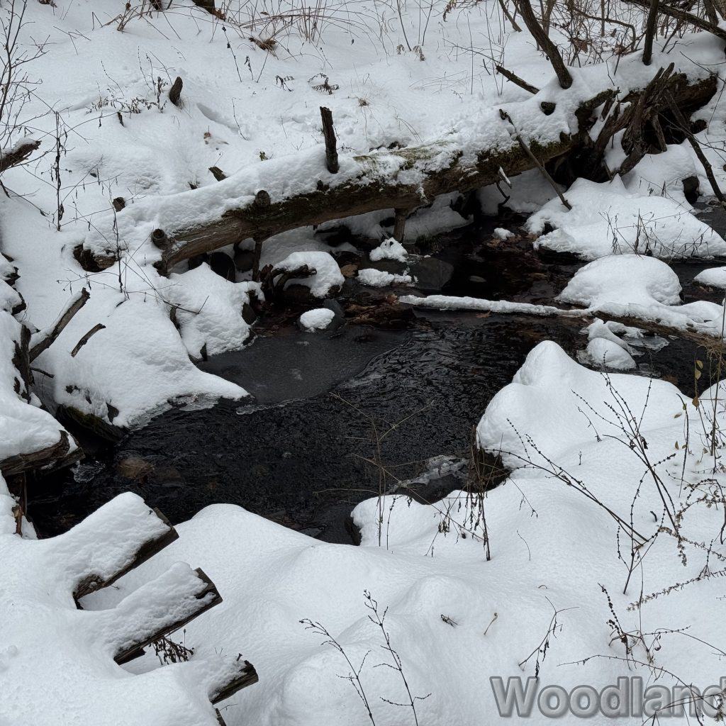 2025-12-07_100639_00