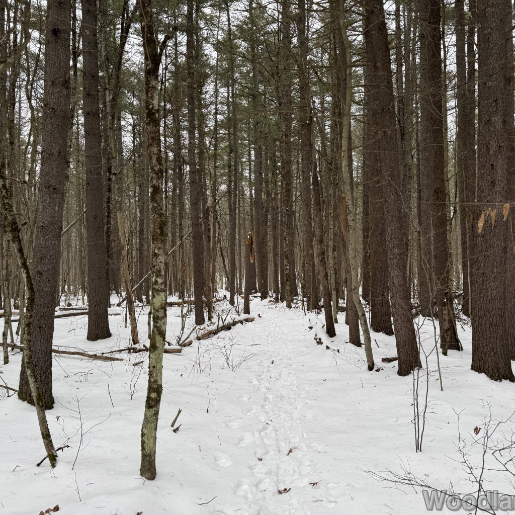 2025-12-07_101539_00