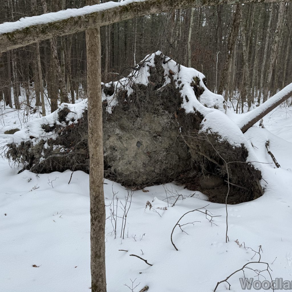 2025-12-07_102420_00