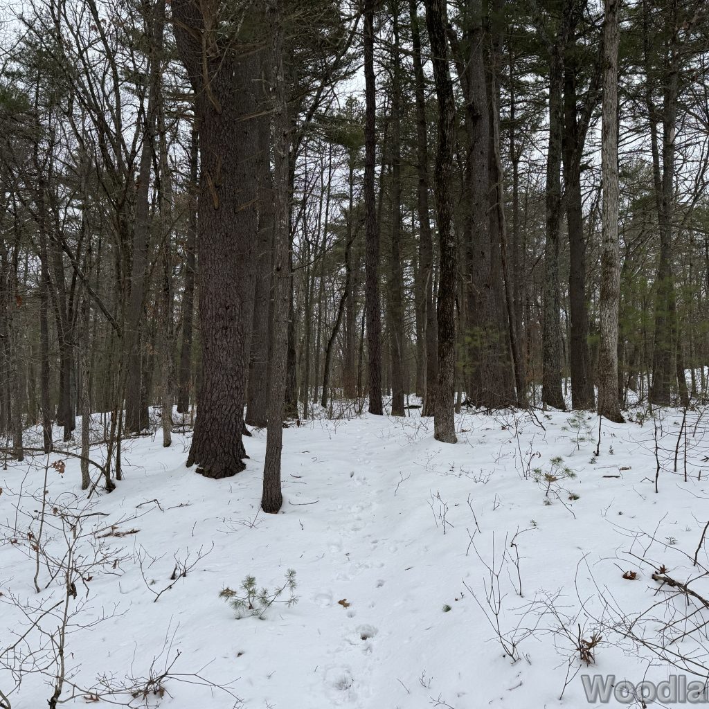 2025-12-07_112924_00