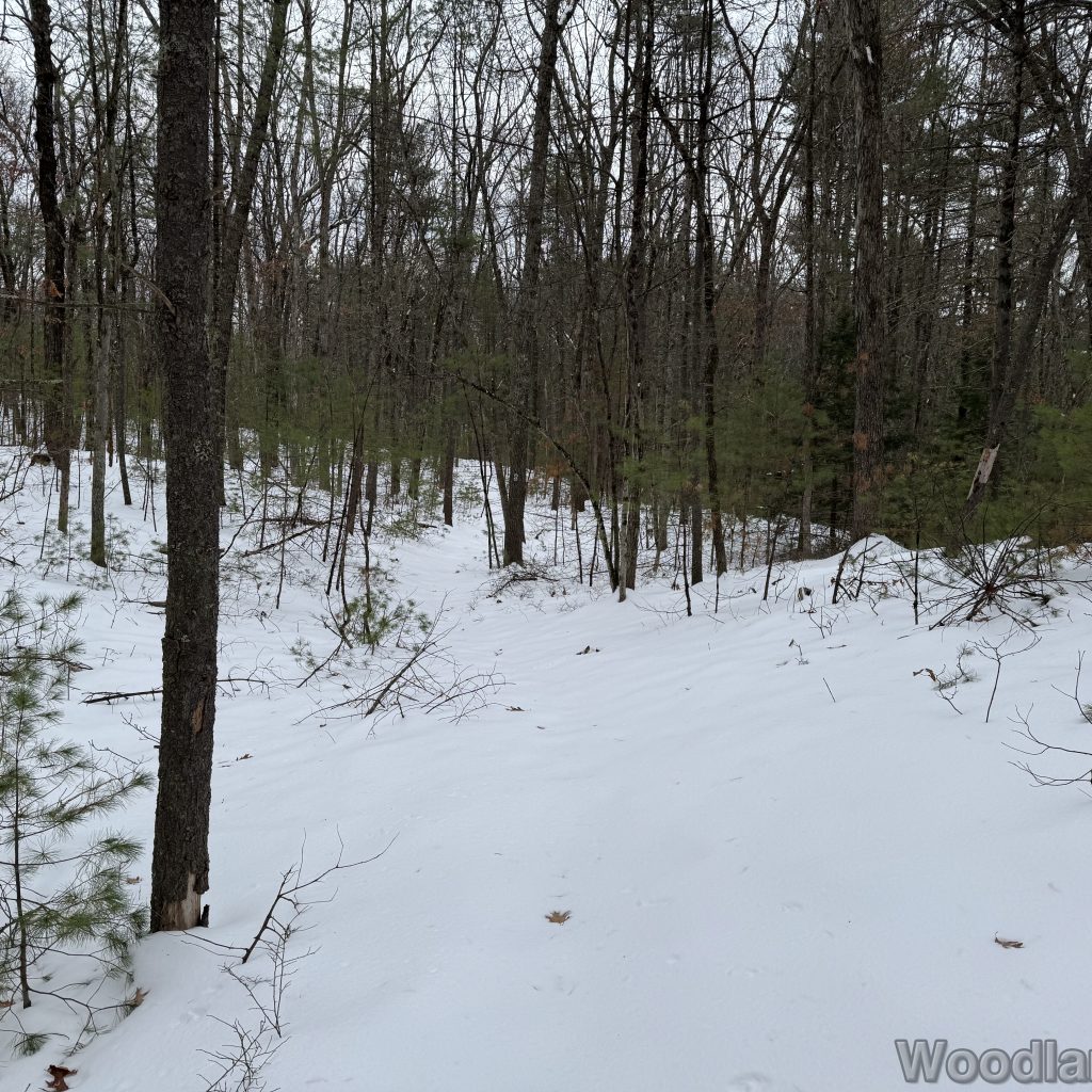 2025-12-07_113105_00