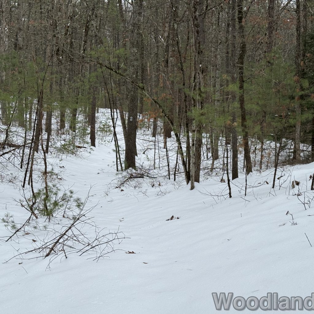 2025-12-07_113108_00