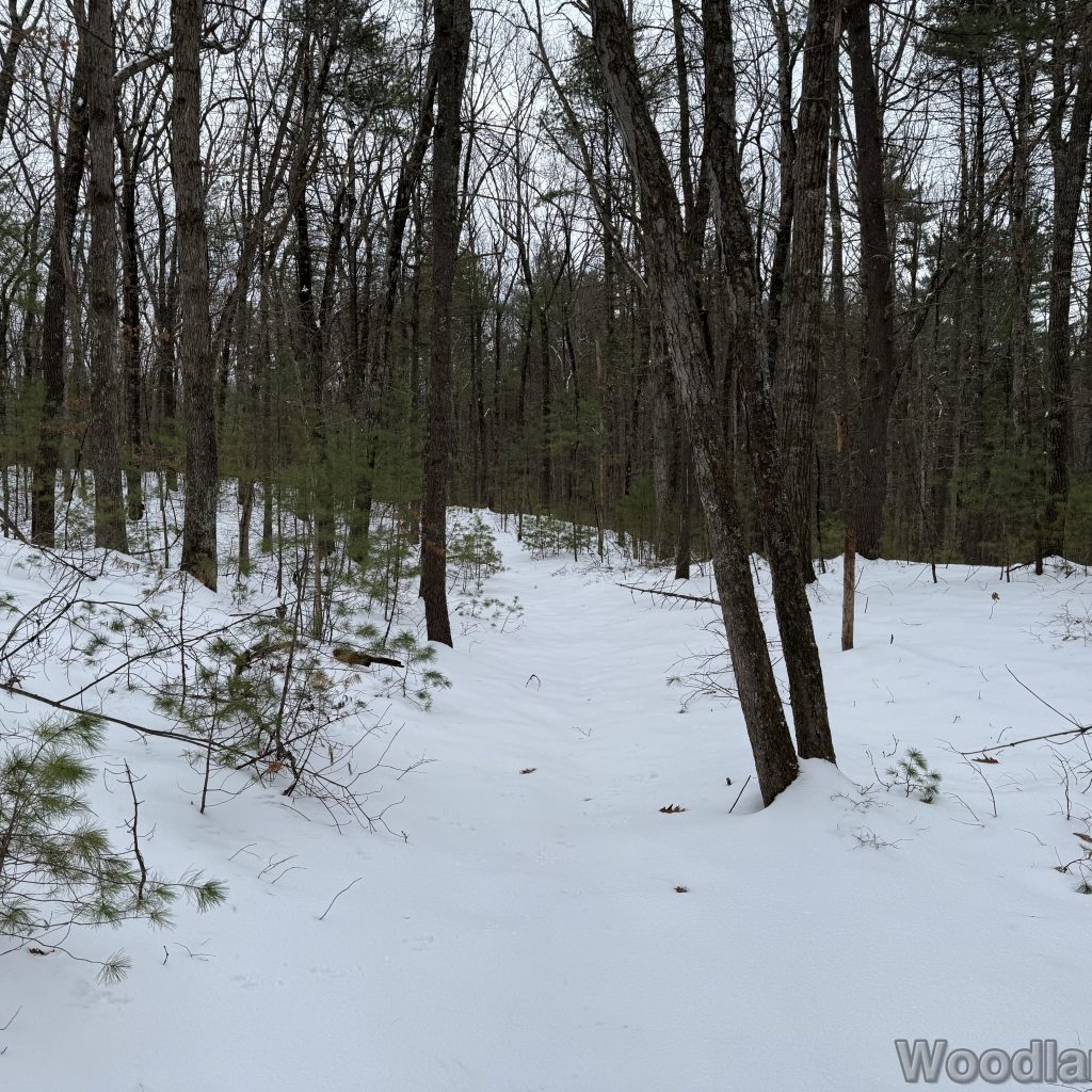 2025-12-07_113147_00