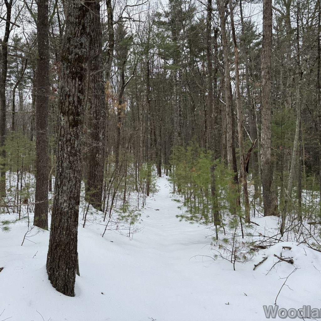 2025-12-07_113255_00