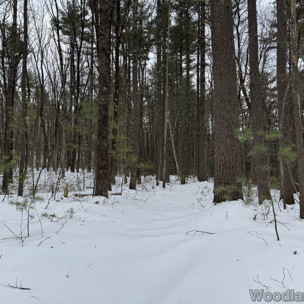 2025-12-07_113350_00