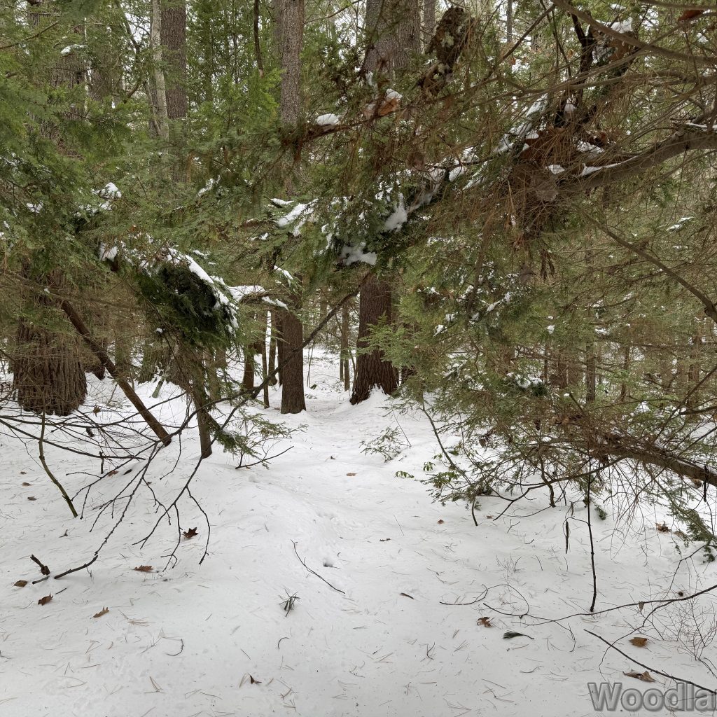 2025-12-07_113805_00