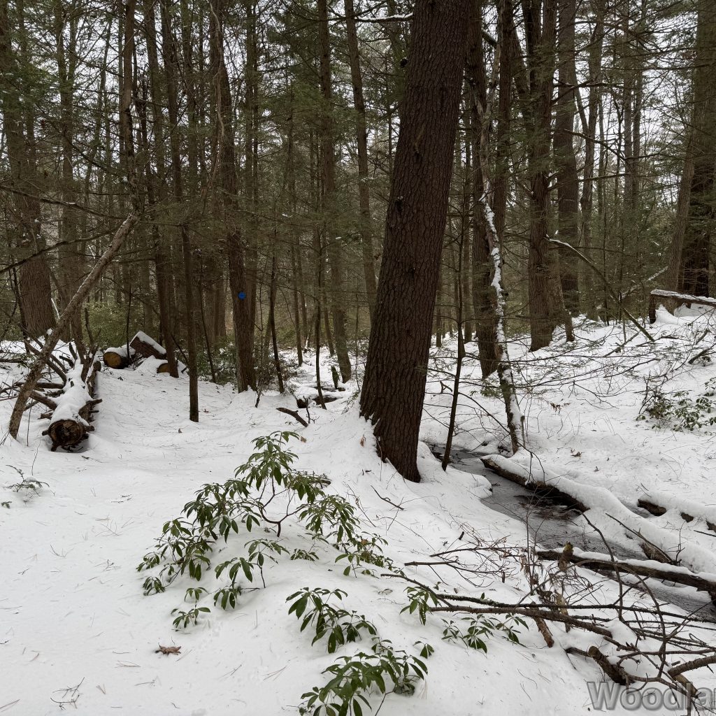 2025-12-07_113848_00