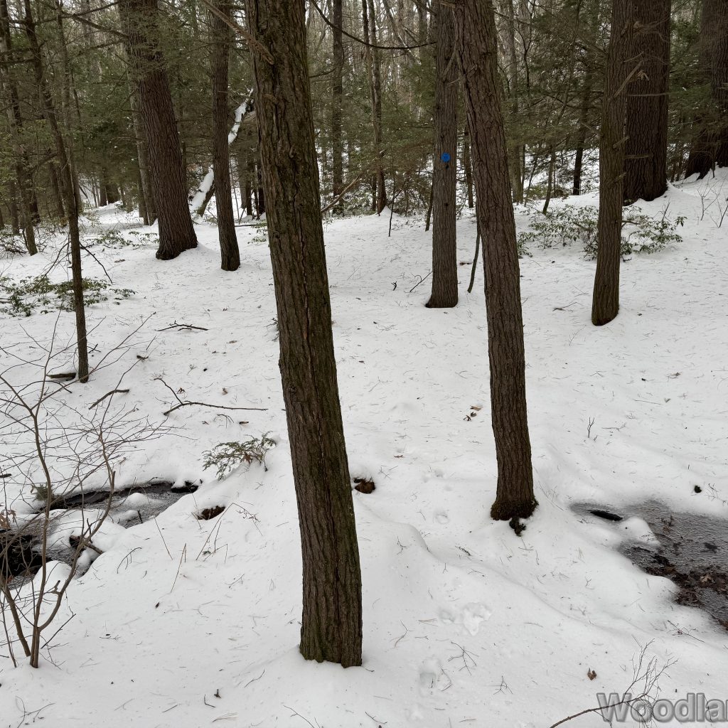 2025-12-07_114009_00