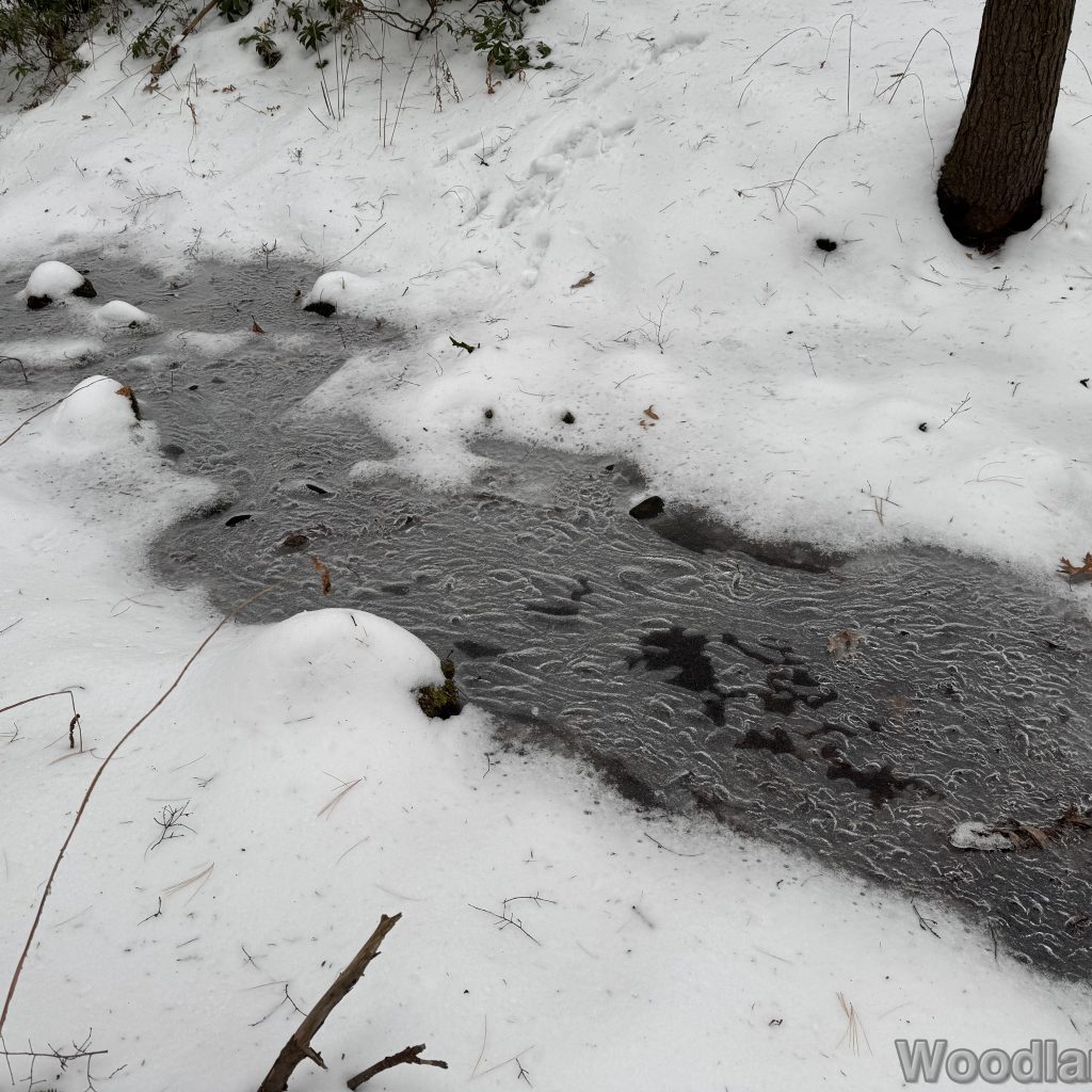 2025-12-07_114051_00