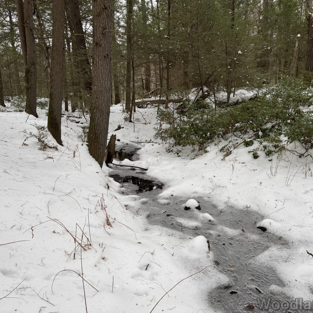 2025-12-07_114053_00