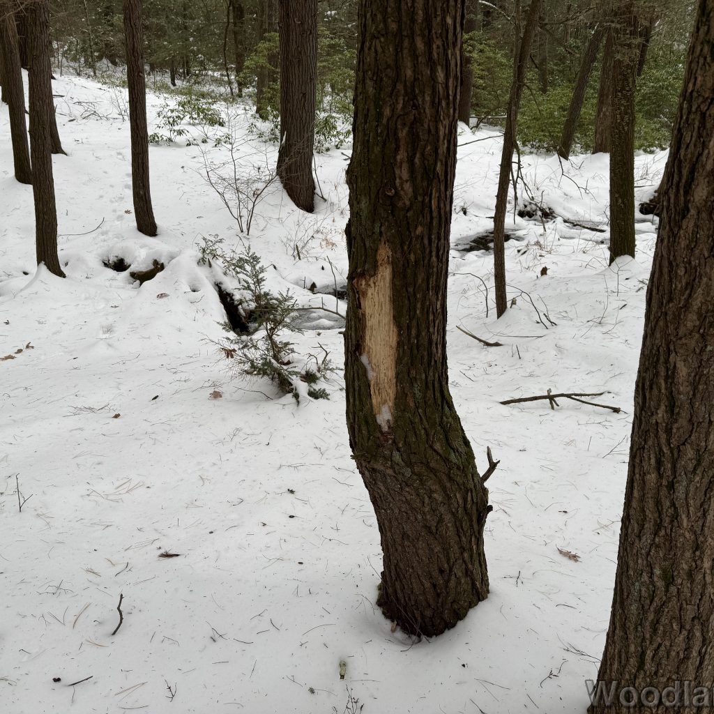 2025-12-07_114114_00