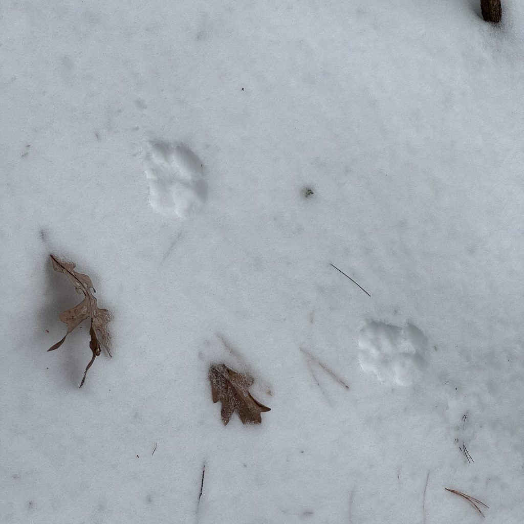 2025-12-07_114434_00