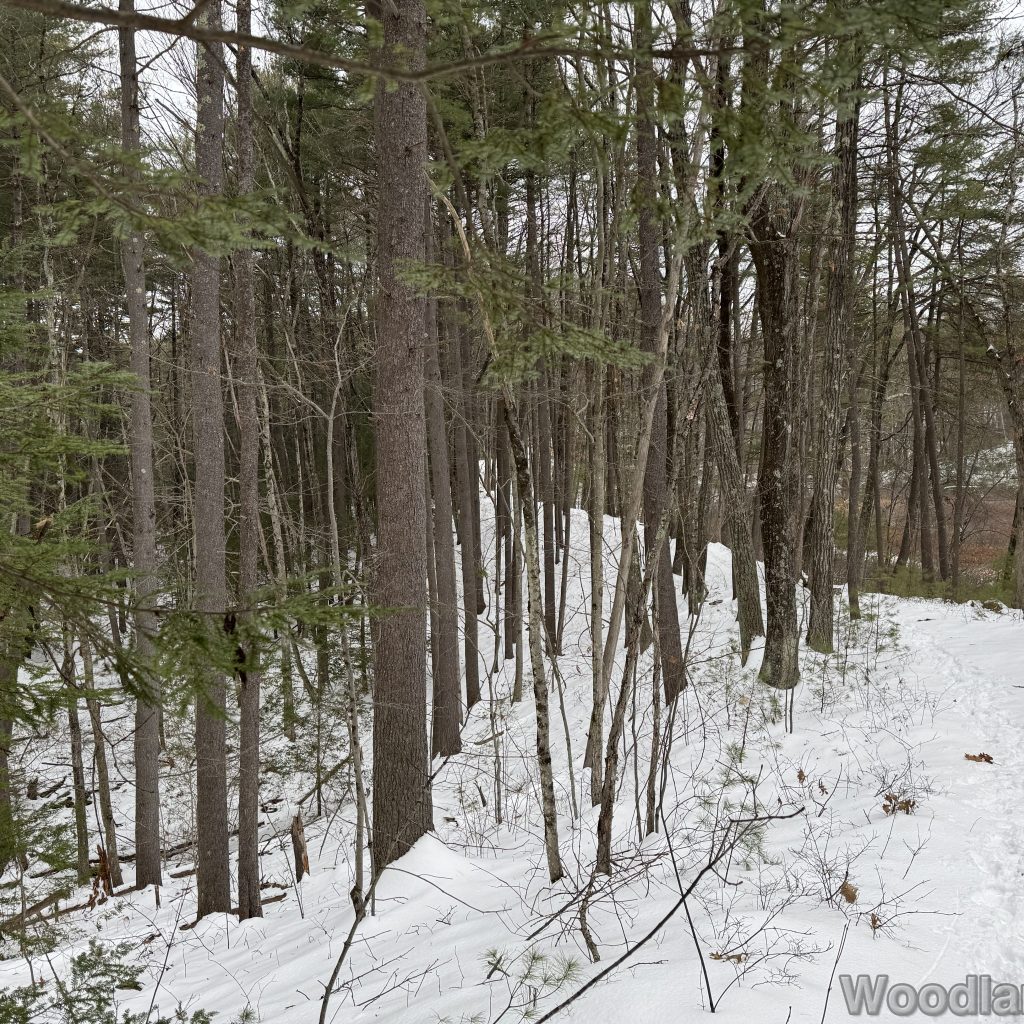 2025-12-07_115507_00