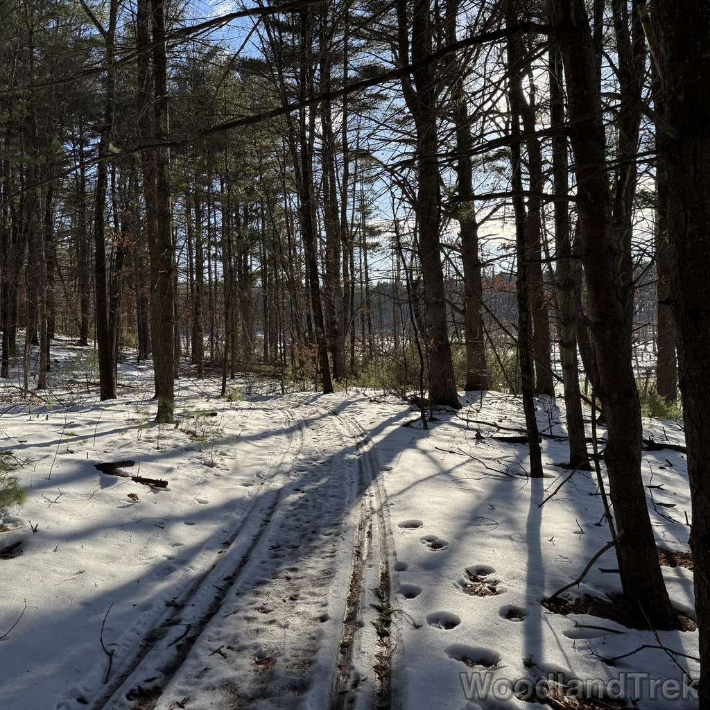 2025-12-18_134700_00