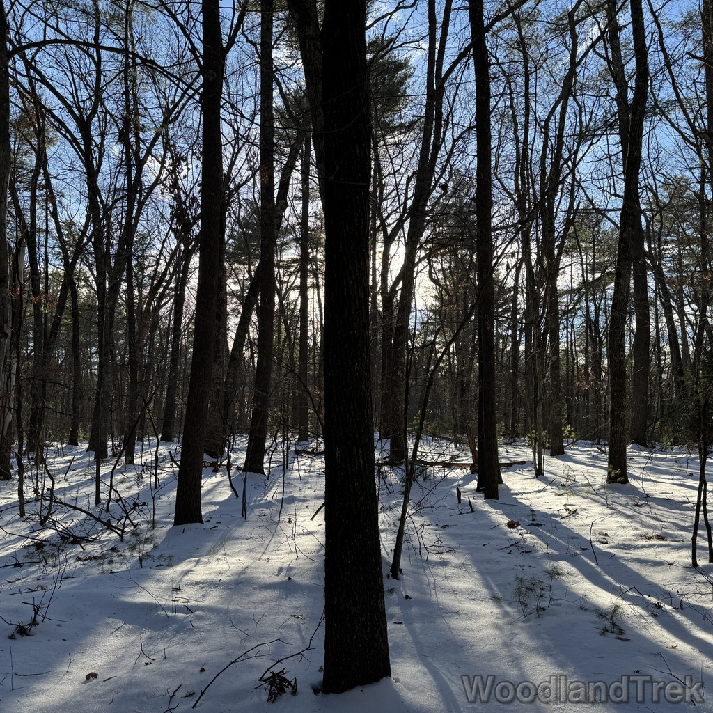 2025-12-18_135525_00