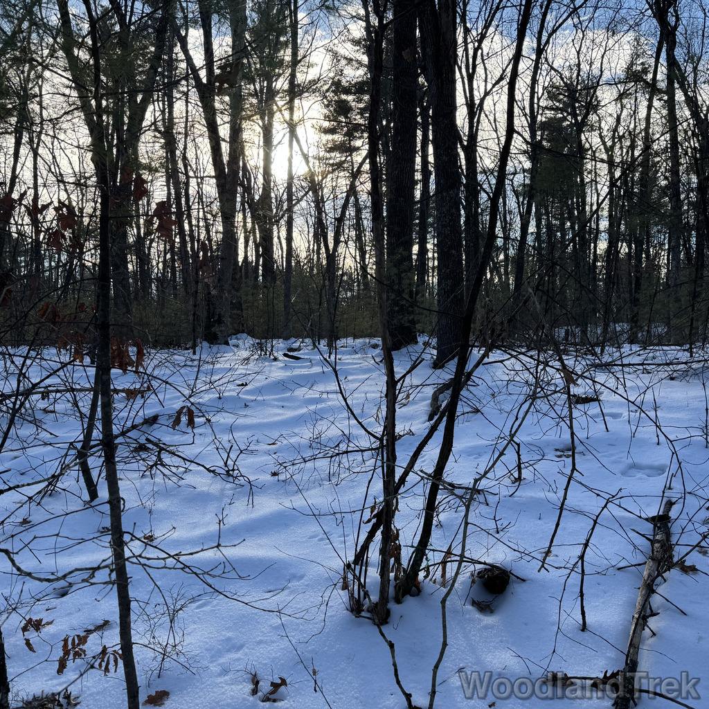 2025-12-18_140022_00