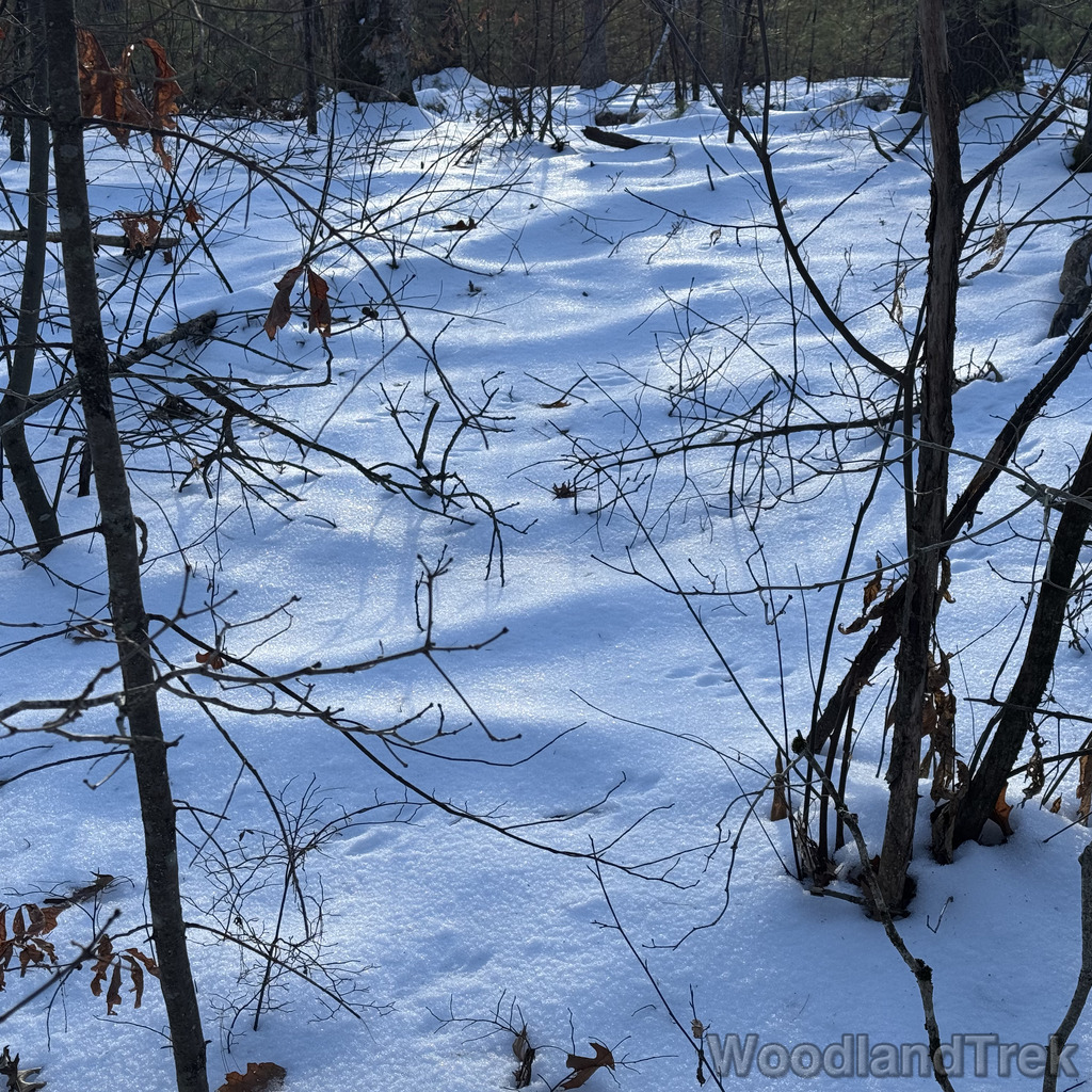 2025-12-18_140035_00