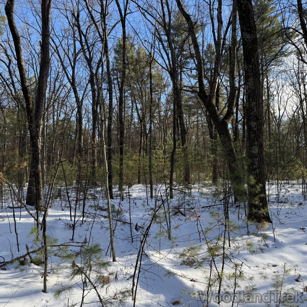 2025-12-18_140134_00