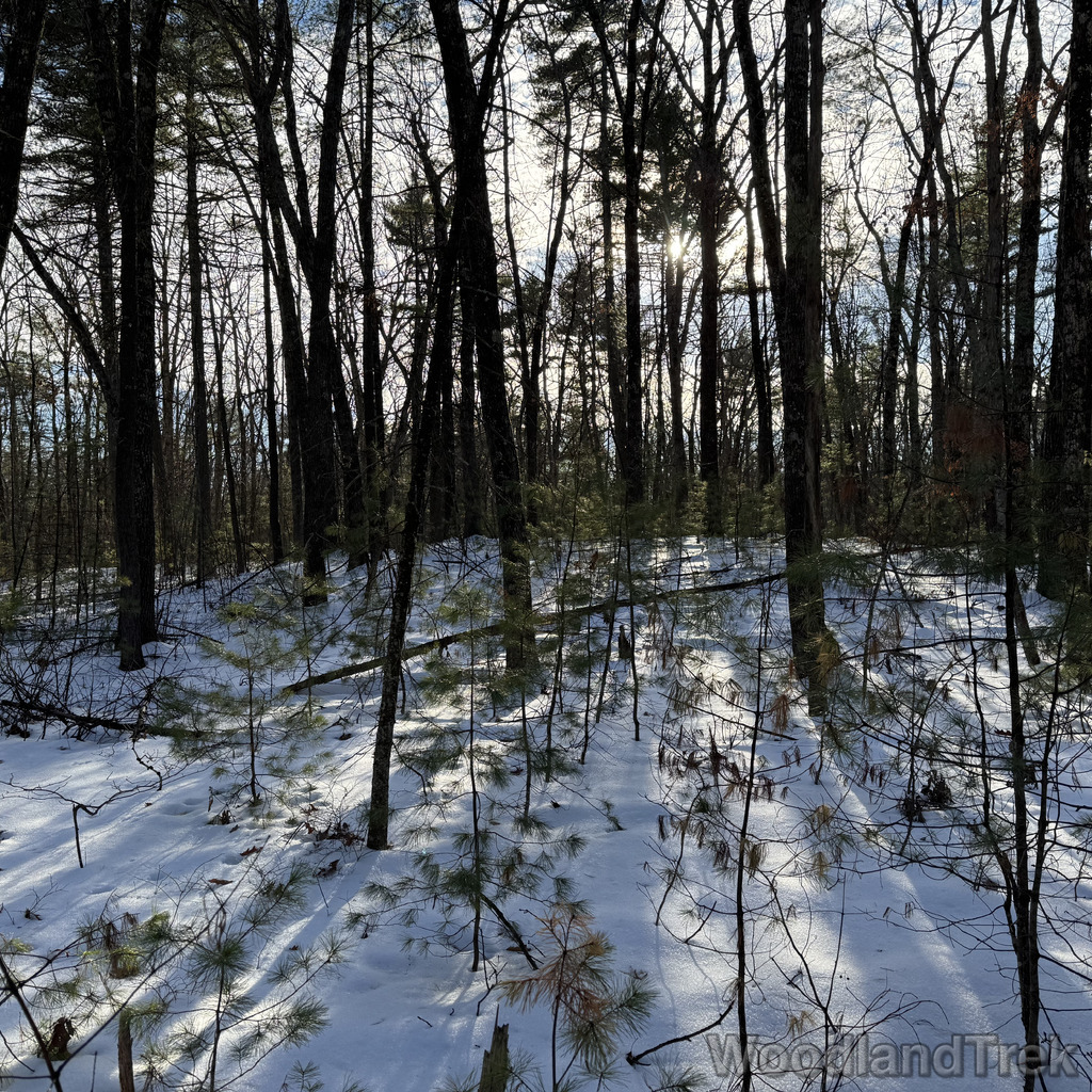 2025-12-18_140141_00