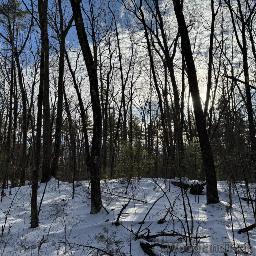 2025-12-18_140306_00