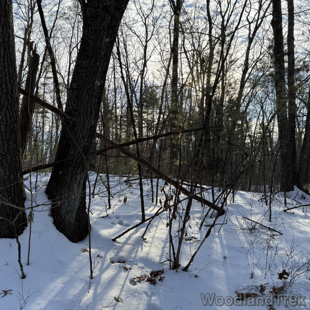 2025-12-18_140329_00