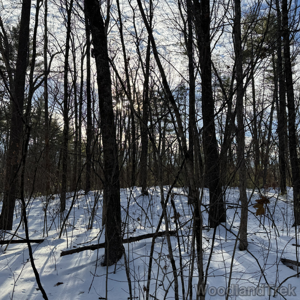 2025-12-18_140406_00