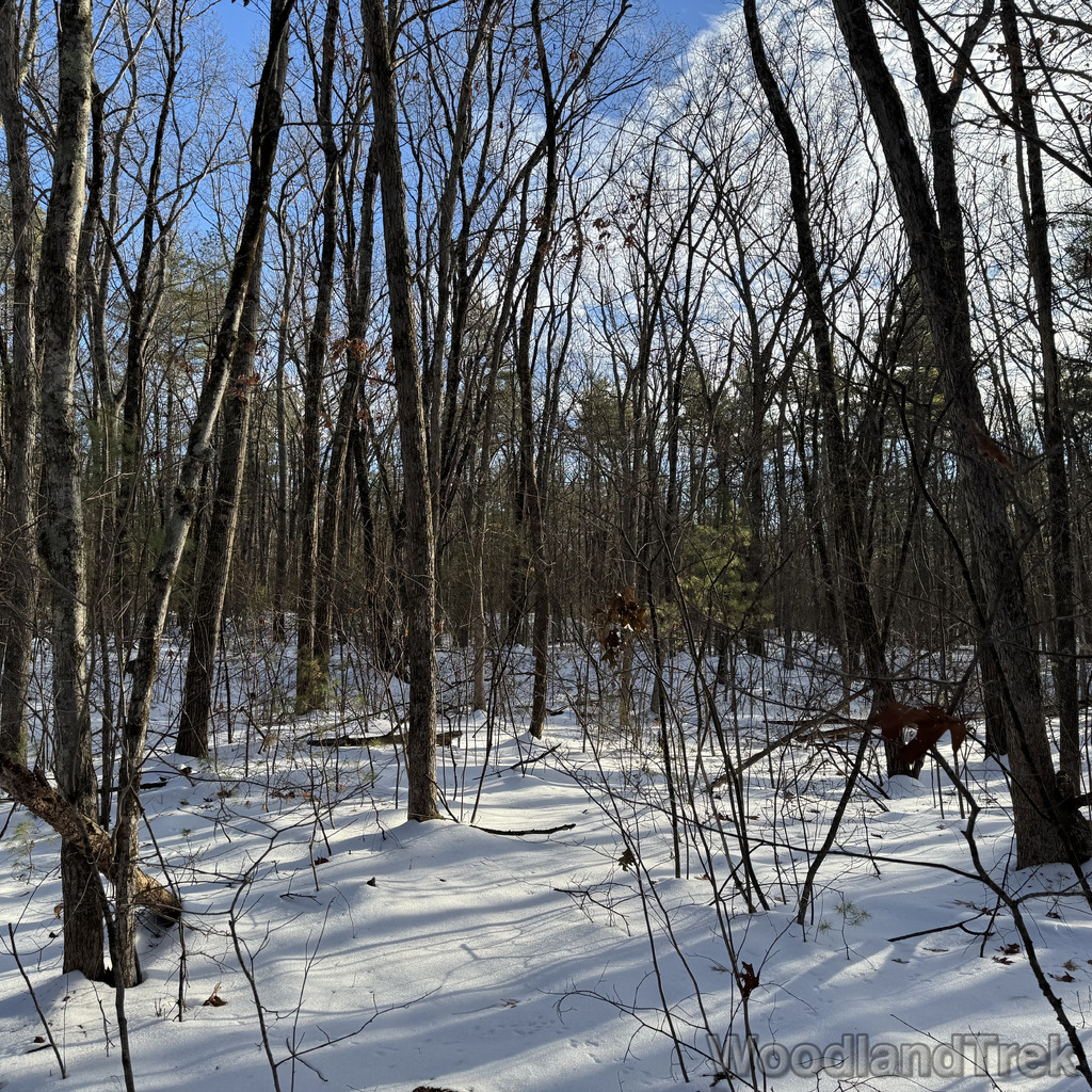 2025-12-18_140417_00