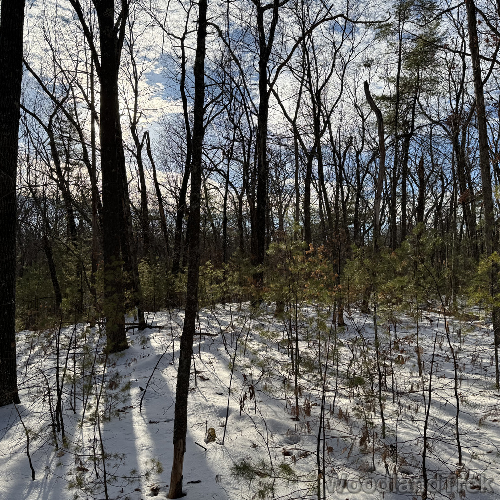 2025-12-18_140532_00