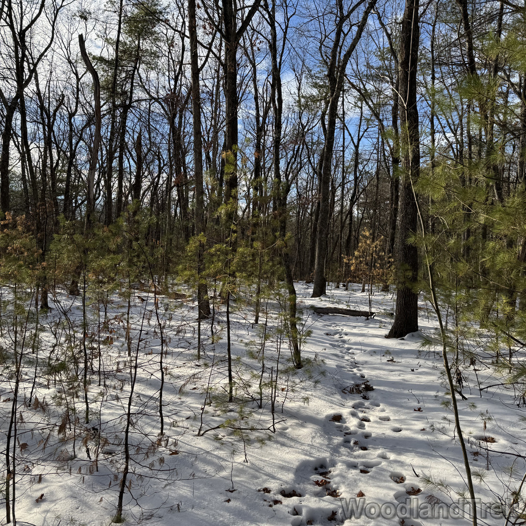 2025-12-18_140535_00