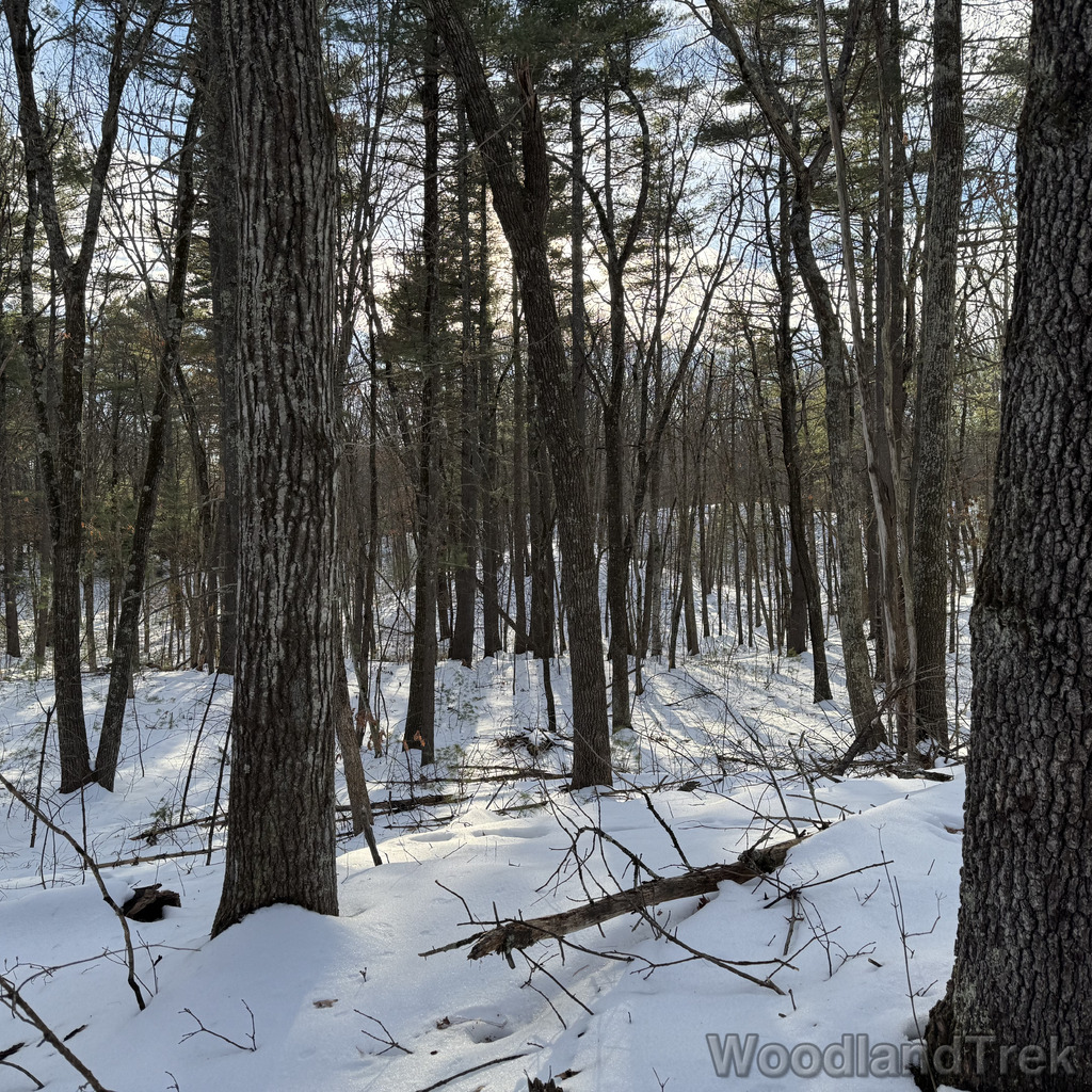 2025-12-18_140911_00