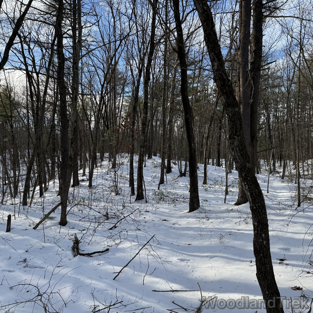 2025-12-18_141050_00