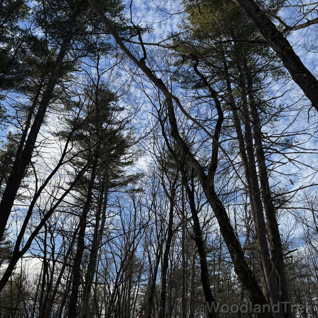 2025-12-18_141052_00