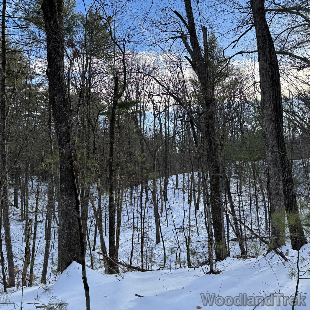 2025-12-18_141218_00