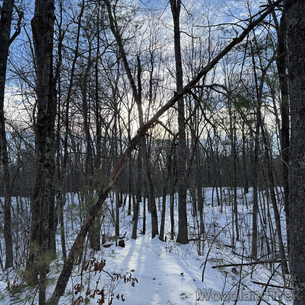 2025-12-18_141301_00