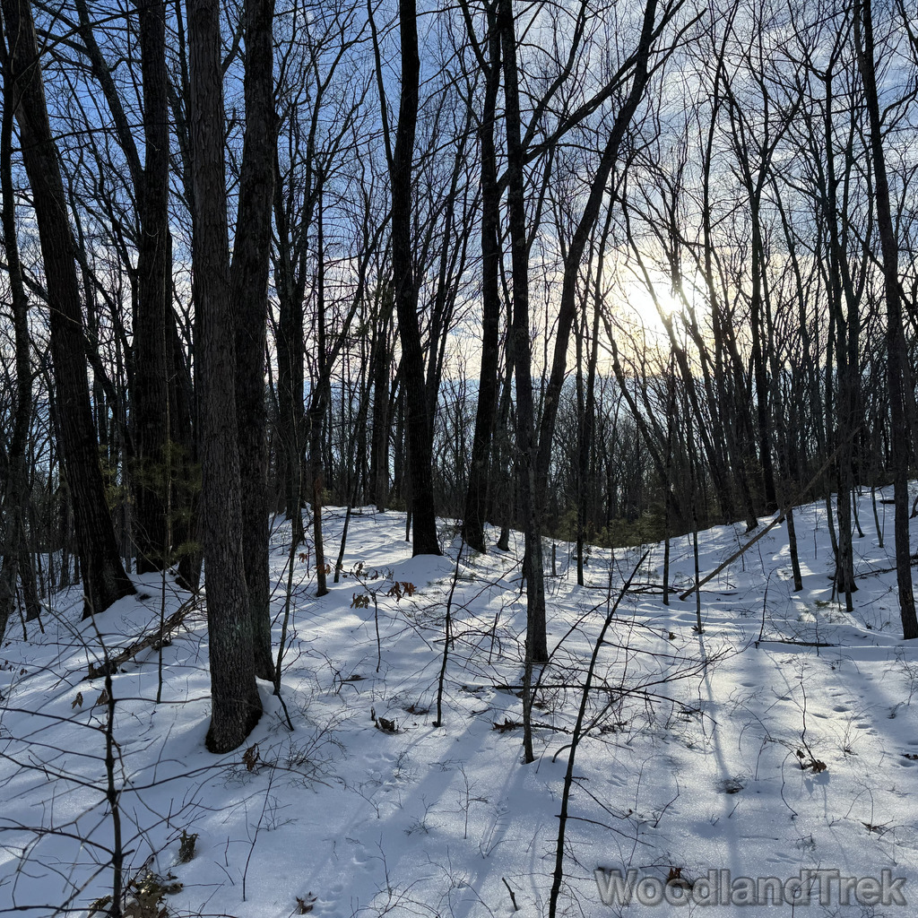 2025-12-18_141352_00