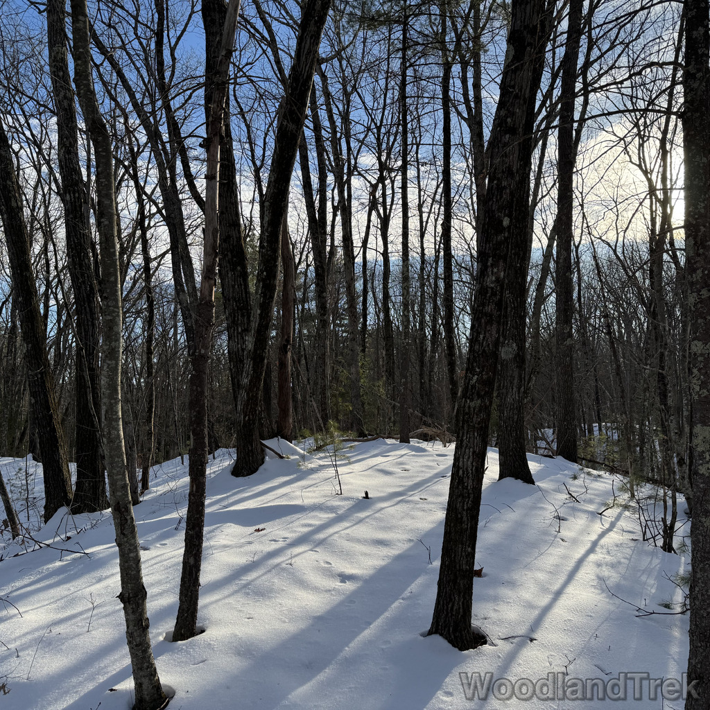 2025-12-18_141447_00