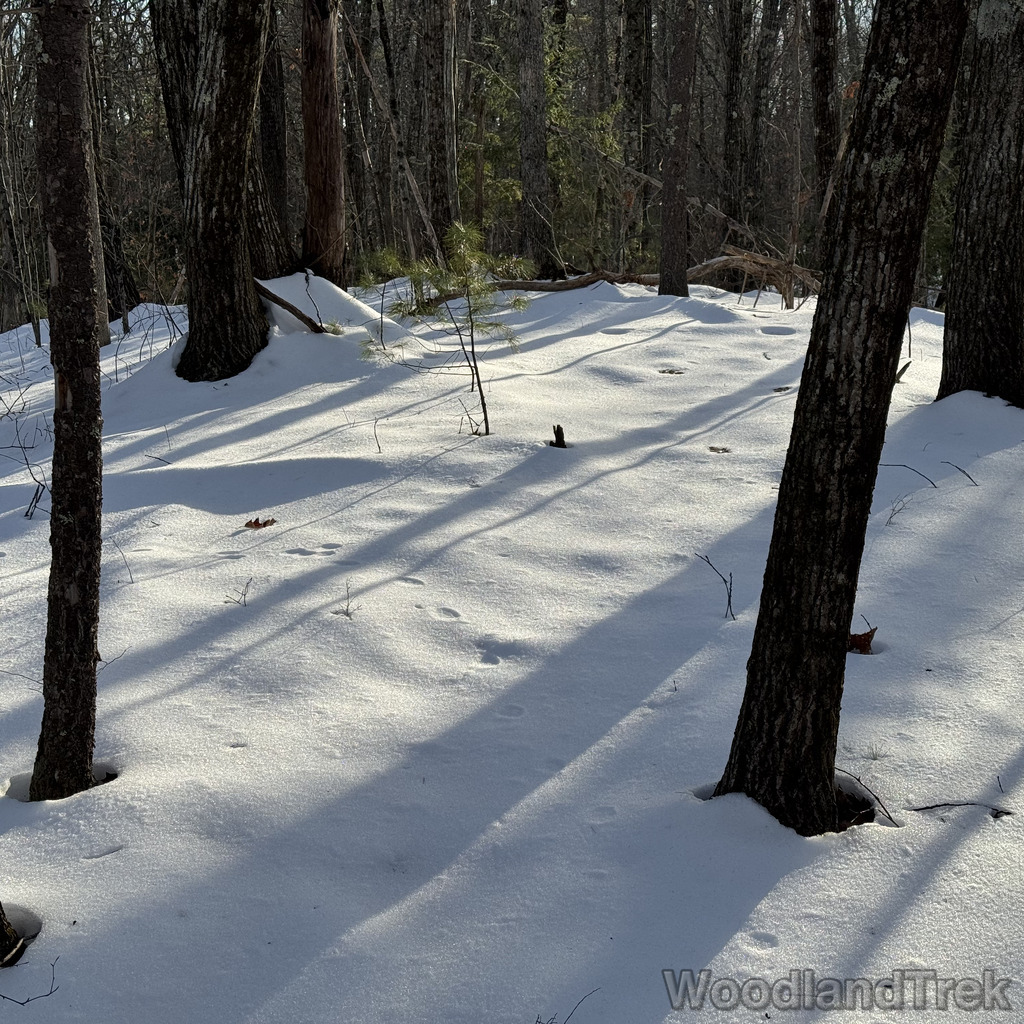 2025-12-18_141451_00