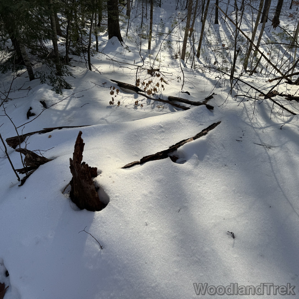 2025-12-18_141630_00