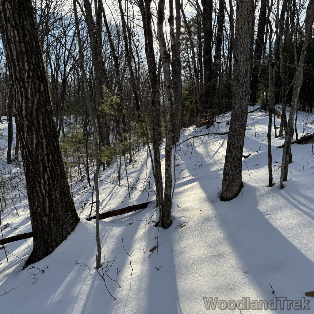 2025-12-18_142107_00