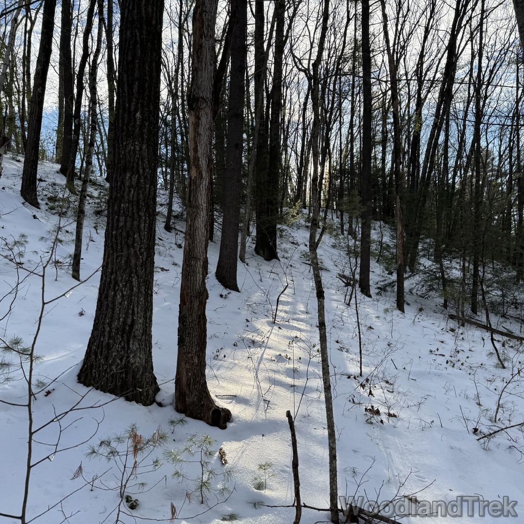 2025-12-18_142333_00