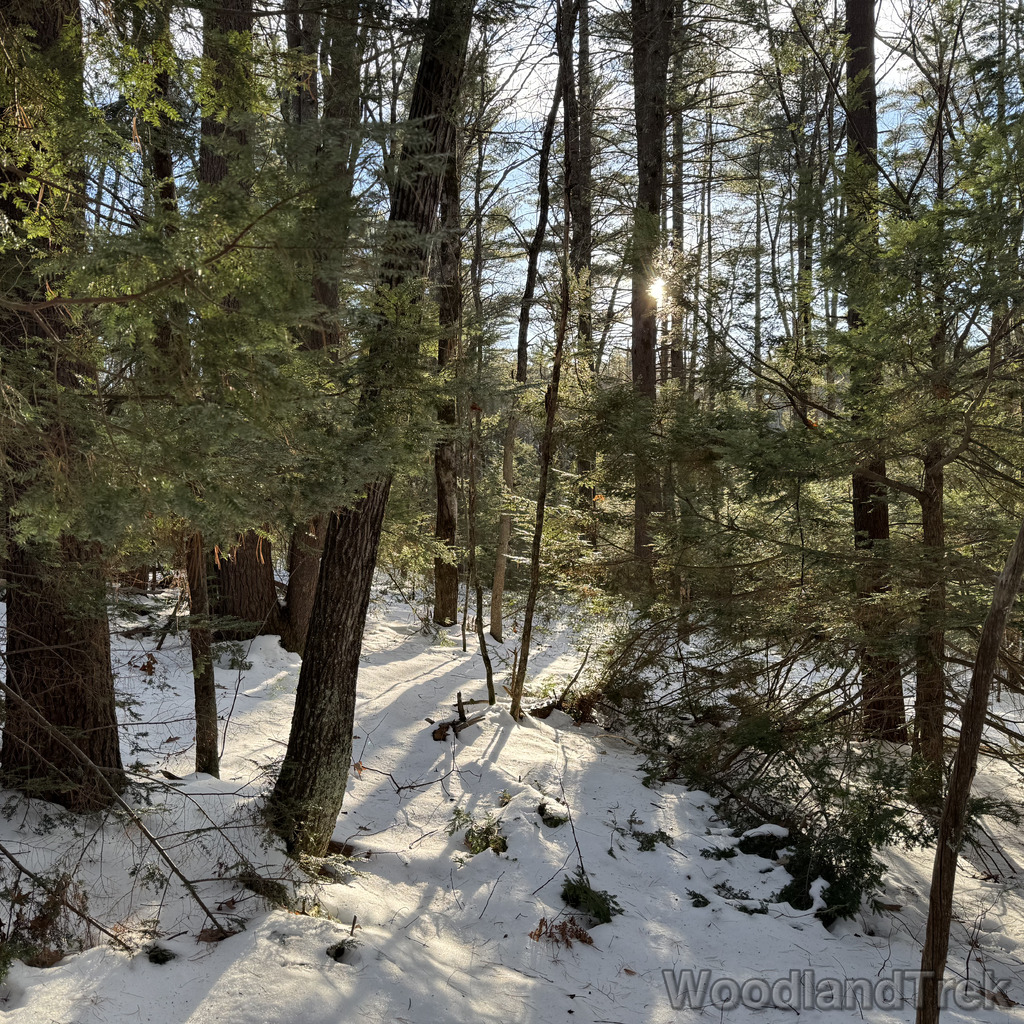 2025-12-18_142526_00