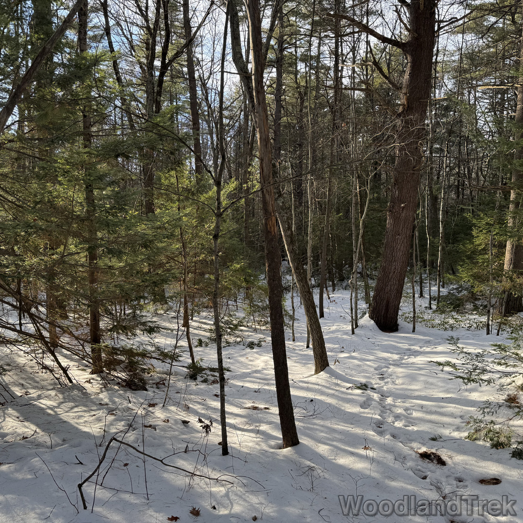 2025-12-18_142530_00