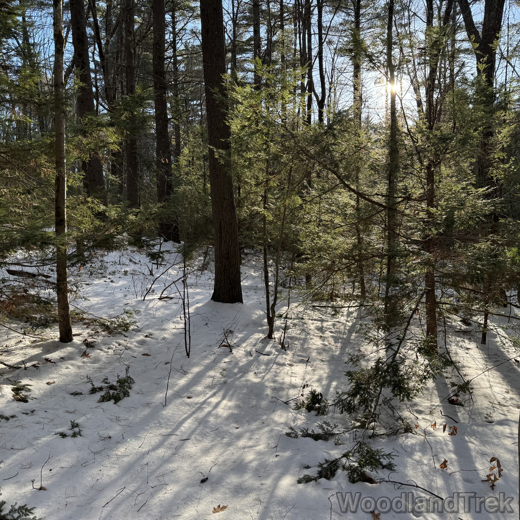 2025-12-18_142608_00