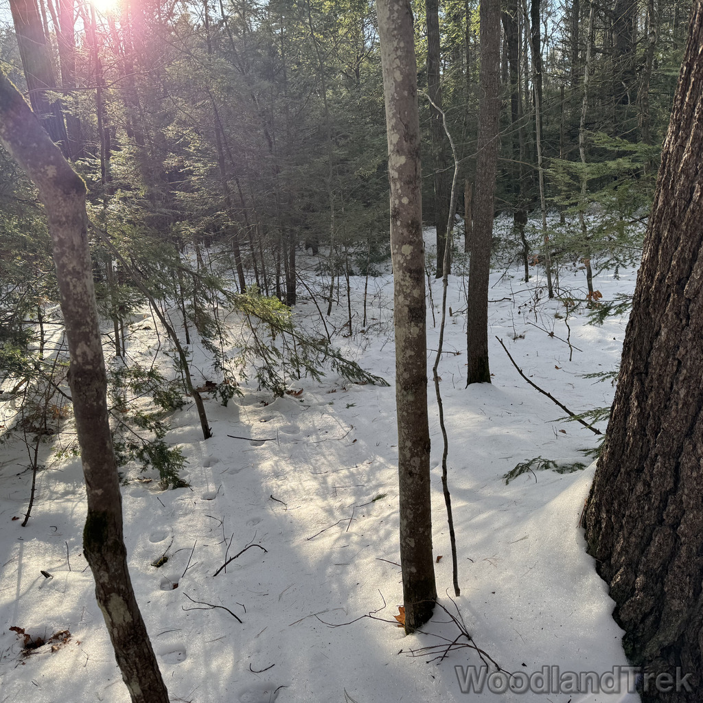 2025-12-18_142631_00